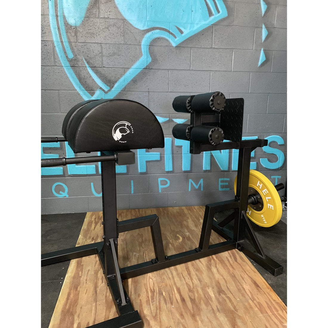 GHD Posterior Chain Exercise